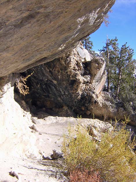 Cave Spring