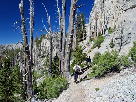 North Loop Trail -- North Ridge