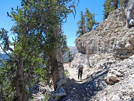 North Loop Trail -- North Ridge