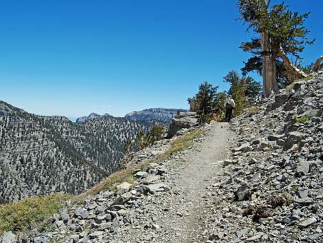 Mt Charleston, East Face