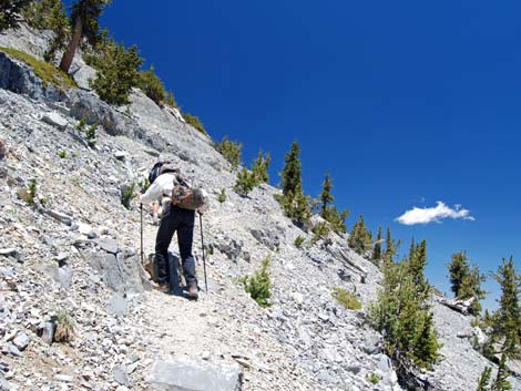 Mt Charleston, East Face