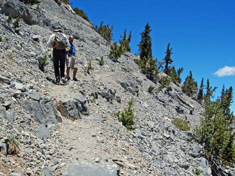 Mt Charleston, East Face