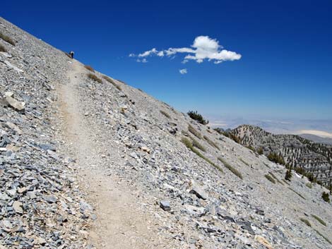 Mt Charleston, East Face