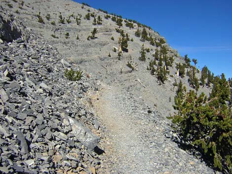 Mt Charleston, East Face