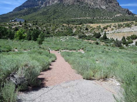 Escarpment Trail