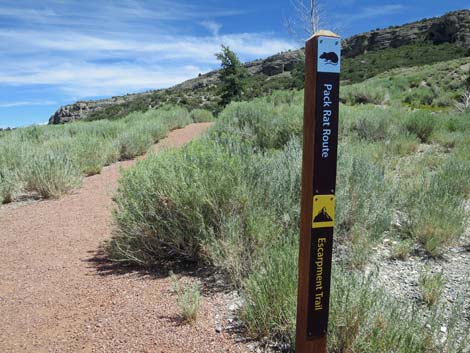 Escarpment Trail