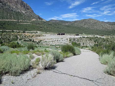 Escarpment Trail