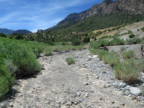 Escarpment Trail