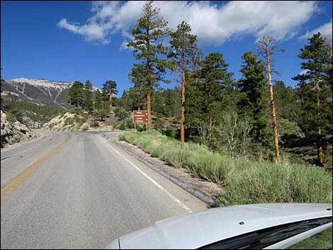 Deer Creek Road