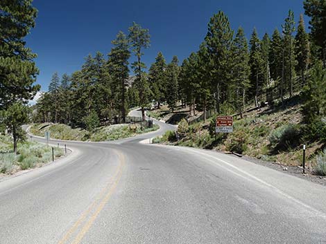 Kyle Canyon Road