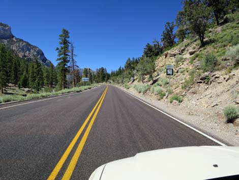 Lee Canyon Road