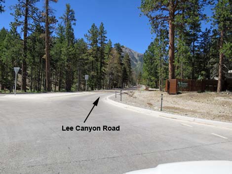 Lee Canyon Road