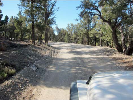 Mack's Canyon Road