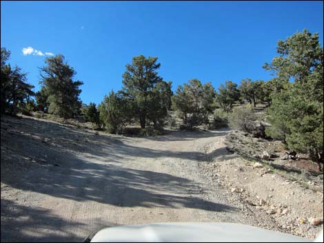 Mack's Canyon Road