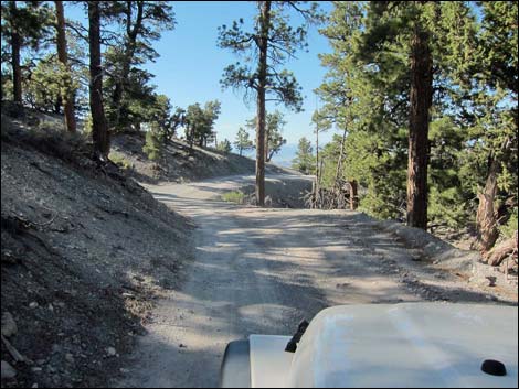 Mack's Canyon Road