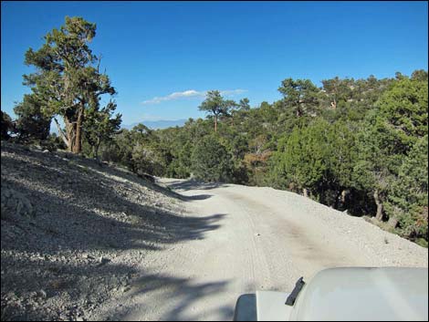 Mack's Canyon Road