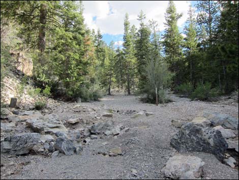 Mack's Canyon Road