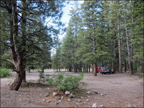 Mack's Canyon Road