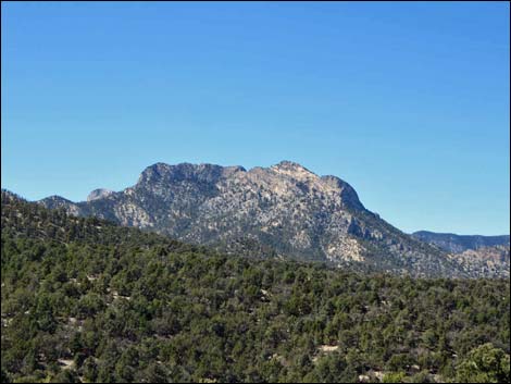 Big Sawmill Loop Trail