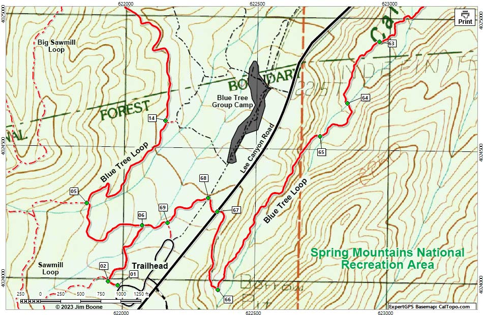 Blue Tree Loop  Trail  Map