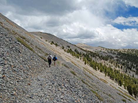 Mt. Charleston Wilderness Area