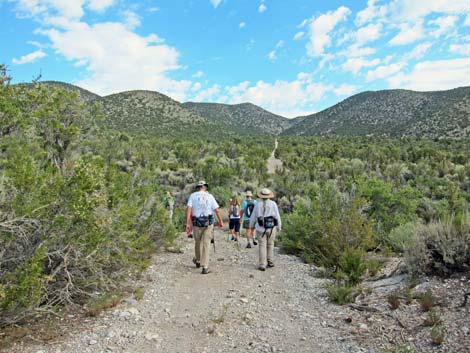 Lower Telephone Canyon Trailhead