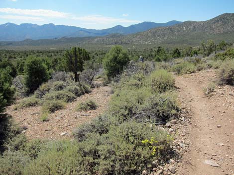 Lower Telephone Canyon Trail