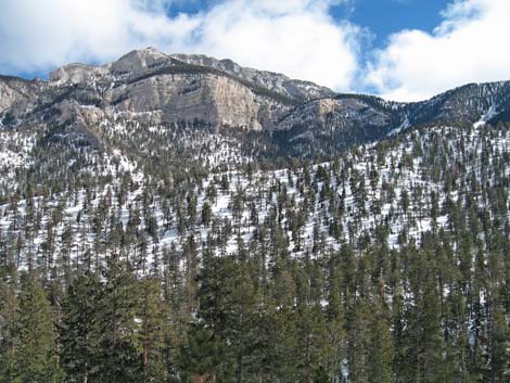 Upper Bristlecone Trailhead