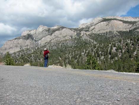 Upper Bristlecone Trailhead