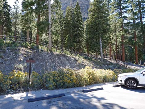 Cathedral Rock Trailhead