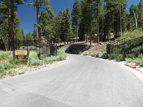 Cathedral Rock Trailhead