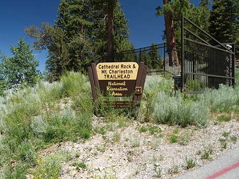 Cathedral Rock Trailhead