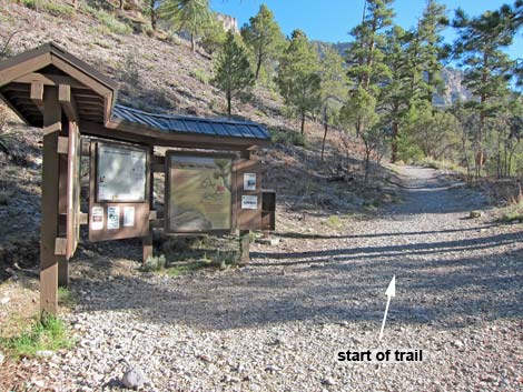 Fletcher Canyon Trailhead