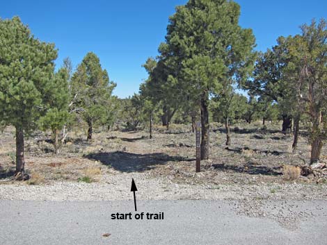 Sawmill Trailhead