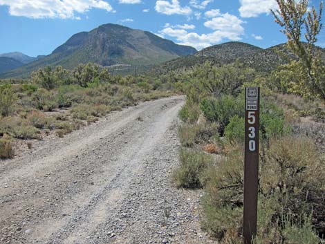 Lower Telephone Canyon Trailhead