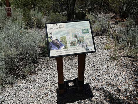 Trail Canyon Trailhead