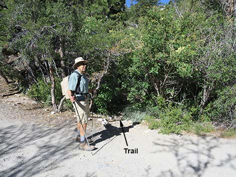 Wildhorse Loop Trail