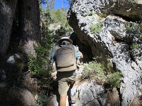 Wildhorse Loop Trail