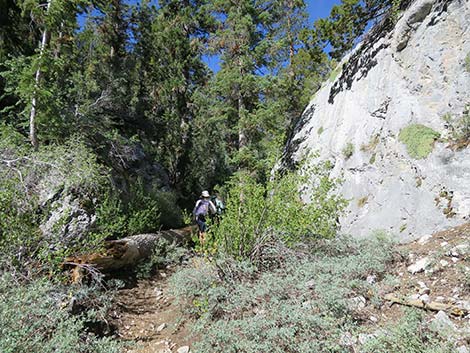 Wildhorse Loop Trail