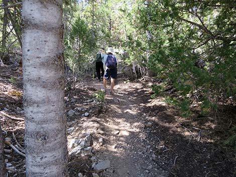 Wildhorse Loop Trail