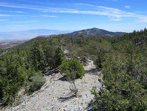 Wildhorse Loop Trail