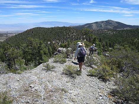 Wildhorse Loop Trail