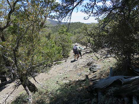 Wildhorse Loop Trail