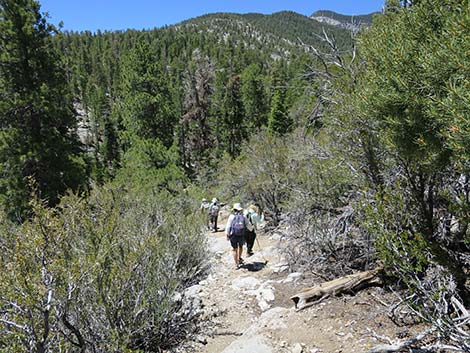 Wildhorse Loop Trail