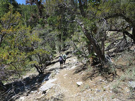 Wildhorse Loop Trail