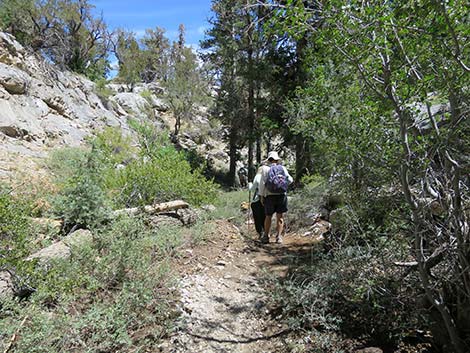 Wildhorse Loop Trail