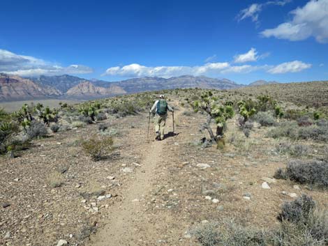 Second Finger Trail