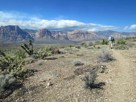 Second Finger Trail