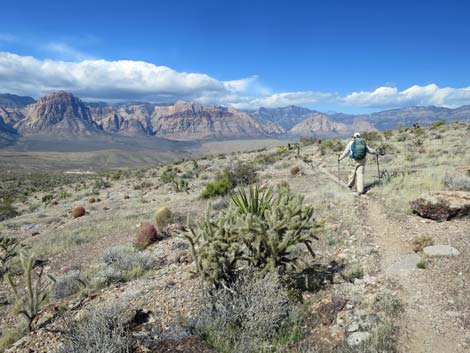 Second Finger Trail