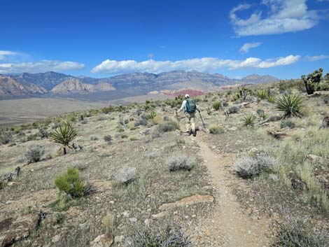 Second Finger Trail